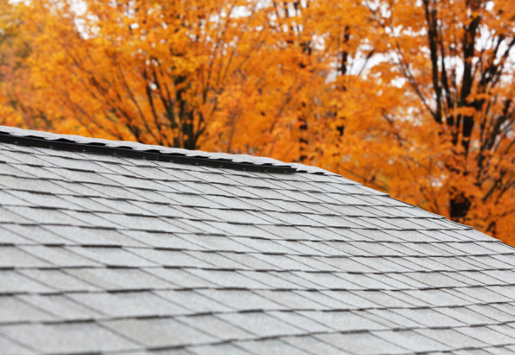 The image shows a roof with shingles under an autumnal tree with orange leaves, suggesting a seasonal change scene.